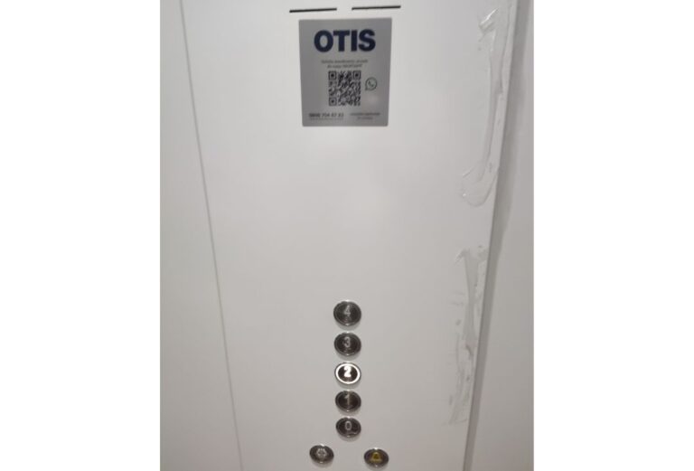 xr:d:DAGBS8q6NMo:9,j:7021535457433258833,t:24040219